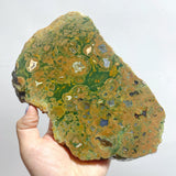 7 Pieces Peacock Eye Rain Forest Jasper Slab