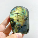 13 Pieces Beautiful Polished Yellow Blue Labradorite Free Form -Wholesale Crystals