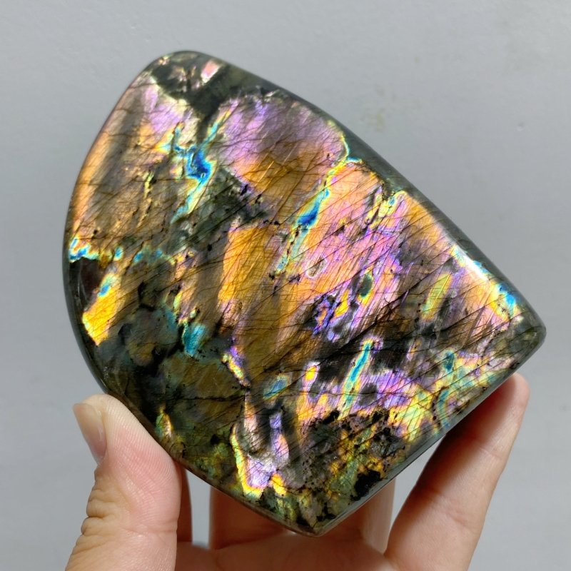 13 Pieces Colorful Labradorite Free Form -Wholesale Crystals