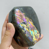 13 Pieces Colorful Labradorite Free Form -Wholesale Crystals