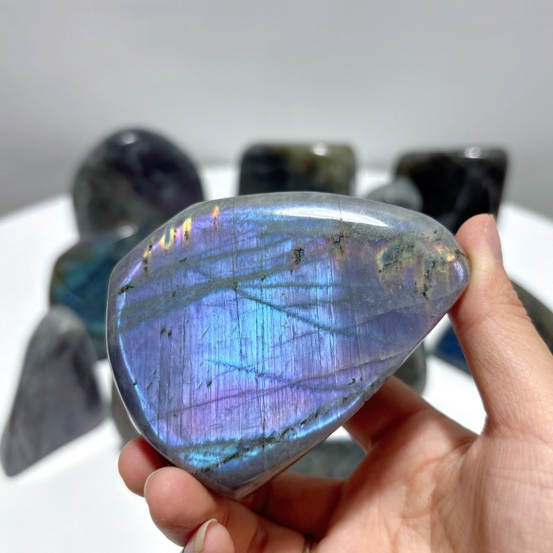 13 Pieces High Quality Labradorite Free Form - Wholesale Crystals