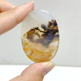 13 Pieces Natural Rare Scenic Dendritic Agate Stone -Wholesale Crystals