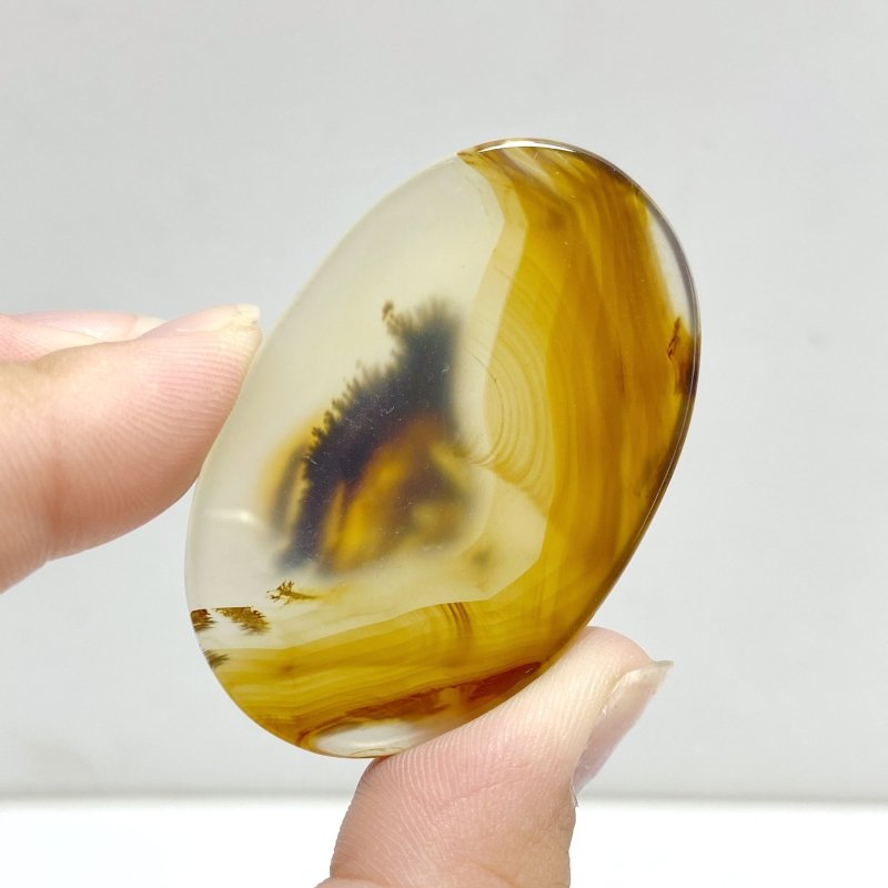 13 Pieces Natural Rare Scenic Dendritic Agate Stone -Wholesale Crystals