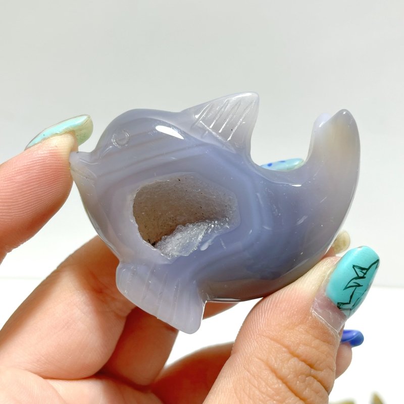 13 pieces Small Geode Agate Druzy Dolphin Carving - Wholesale Crystals