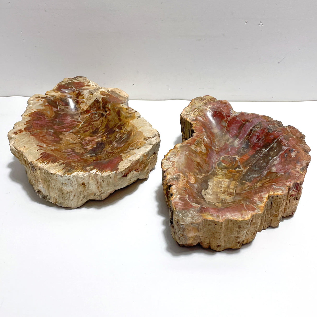 2 Pieces Large Petrified Wood Bowl