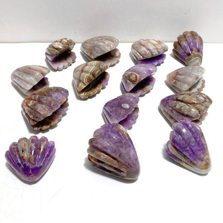 14 Pieces Amethyst Mixed Stripe Agate Shell Carving - Wholesale Crystals