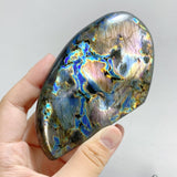 14 Pieces Beautiful Yellow Blue Labradorite Free Form -Wholesale Crystals
