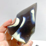 14 Pieces Black Orca Agate Flame Carving - Wholesale Crystals