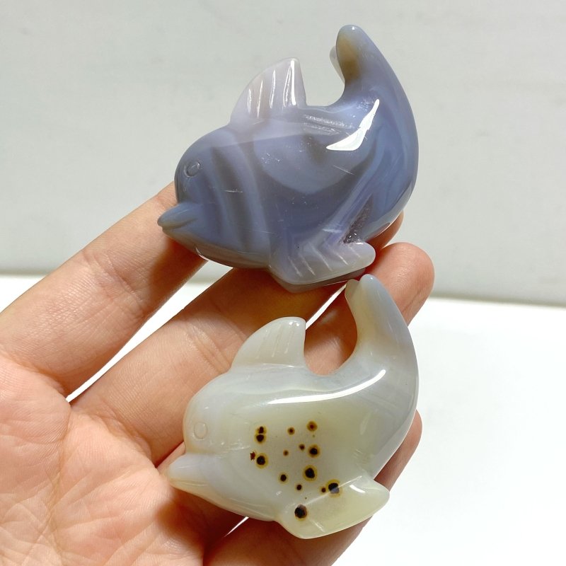 15 pieces Small Geode Agate Druzy Dolphin Carving - Wholesale Crystals