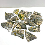 16 Pieces 8th Vein Ocean Jasper Slabs - Wholesale Crystals