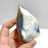 16 Pieces Black Orca Agate Flame Carving 3 - Wholesale Crystals