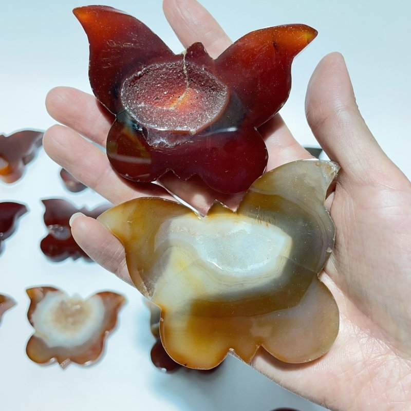 16 Pieces Carnelian Geode Druzy Butterfly Carving -Wholesale Crystals
