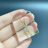 Unique Golden Rutile Quartz Clear Quartz For DIY Pendant