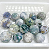 17 Pieces Moss Agate Spheres - Wholesale Crystals