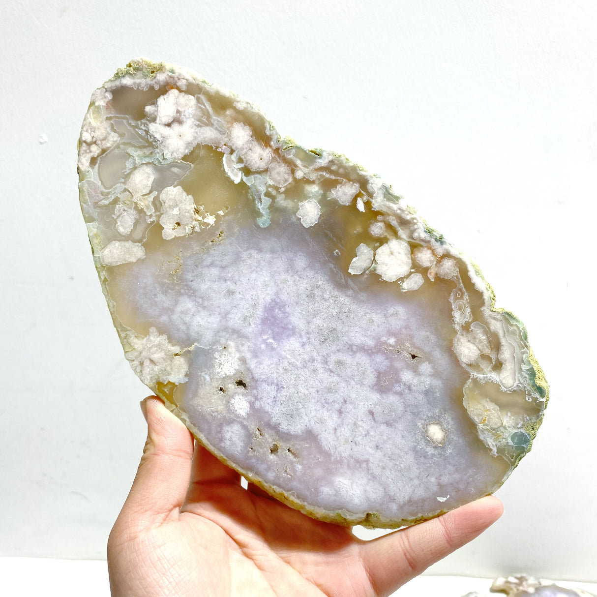 5 Pieces Beautiful Large Green Sakura Flower Agate Slabs