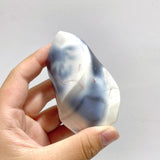 18 Pieces Black Orca Agate Flame Carving 4 - Wholesale Crystals