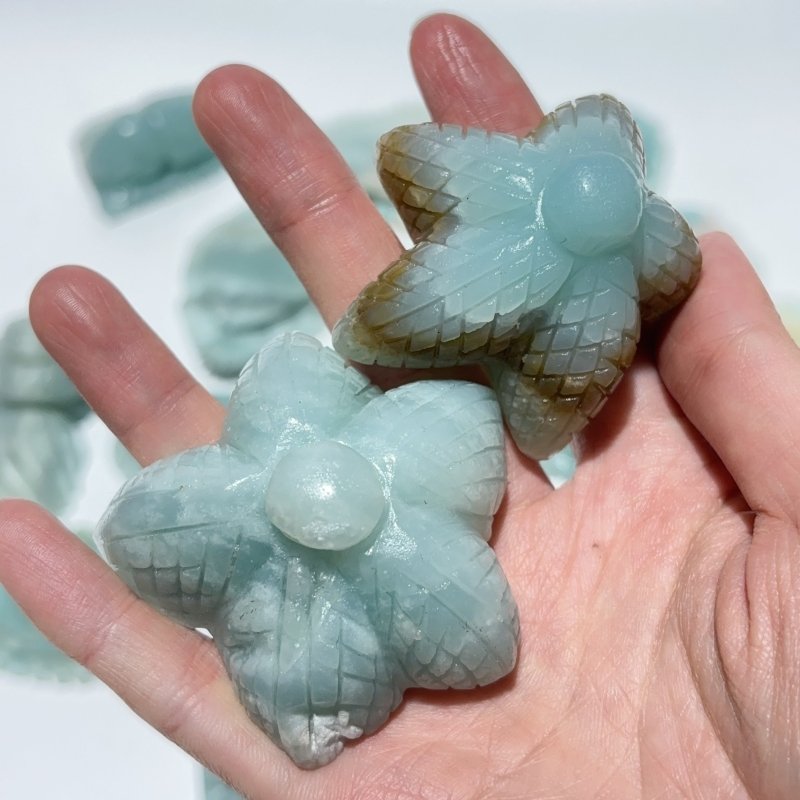 18 Pieces Caribbean Calcite Sea Animals Carving Wholesale -Wholesale Crystals