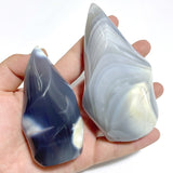 19 Pieces Black Orca Agate Flame Carving 1 - Wholesale Crystals