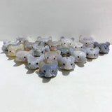 19 Pieces Geode Druzy Agate Fox Head Carving -Wholesale Crystals