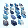 19 Pieces Trolleite Sea Turtle Carving - Wholesale Crystals