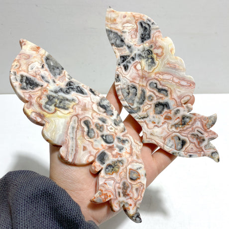 Unique Morocco Agate Butterfly Wing Carving With Stand