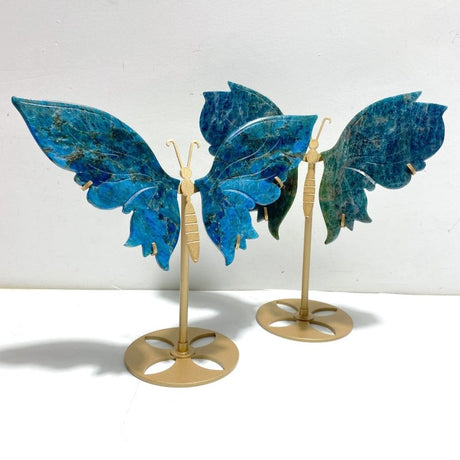 2 Pairs Blue Apatite Butterfly Wing Carving With Stand - Wholesale Crystals