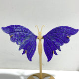 2 Pairs Delicate Lapis Lazuli Butterfly Wing Carving With Stand - Wholesale Crystals