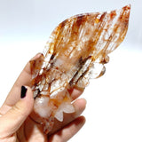 2 Pairs Fire Quartz Butterfly Wing Carving With Stand - Wholesale Crystals