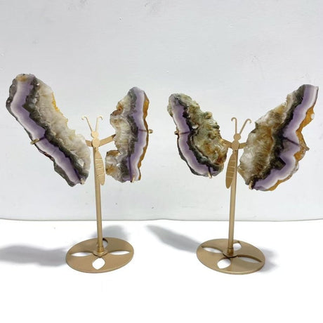 2 Pairs Fluorite Mixed Pyrite Butterfly Wing With Stand 1 - Wholesale Crystals