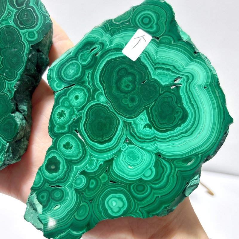 2 Pairs Polished Malachite Raw Slab Butterfly Wing Crystal Carving With Stand (#1) - Wholesale Crystals