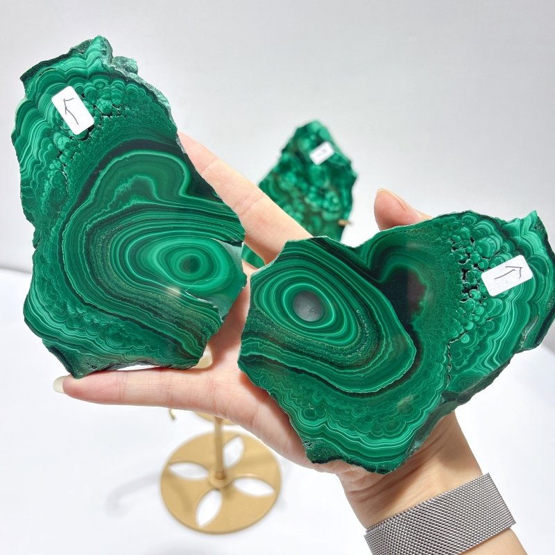 2 Pairs Polished Malachite Raw Slab Butterfly Wing With Stand (#3) - Wholesale Crystals