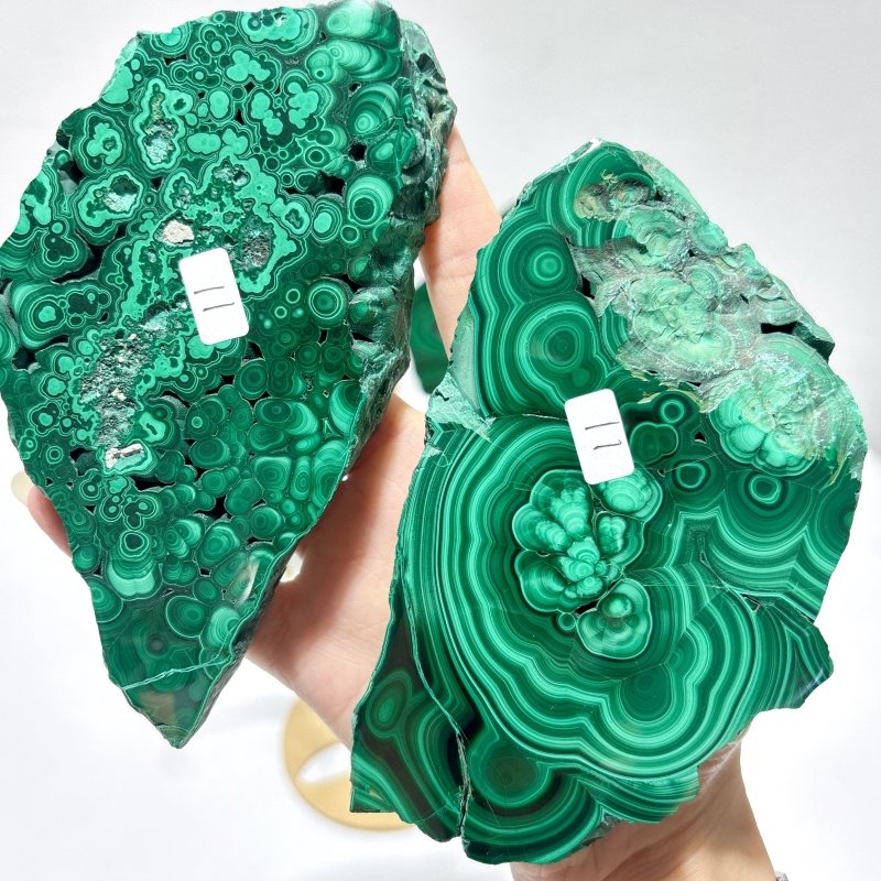 2 Pairs Polished Malachite Raw Slab Butterfly Wing With Stand (#3) - Wholesale Crystals