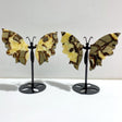 2 Pairs Septarian Butterfly Wing Carving With Stand 3 - Wholesale Crystals