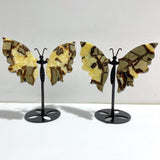 2 Pairs Septarian Butterfly Wing Carving With Stand 3 - Wholesale Crystals