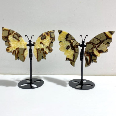 2 Pairs Septarian Butterfly Wing Carving With Stand 3 - Wholesale Crystals