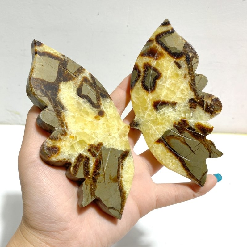 2 Pairs Septarian Butterfly Wing Carving With Stand 3 - Wholesale Crystals