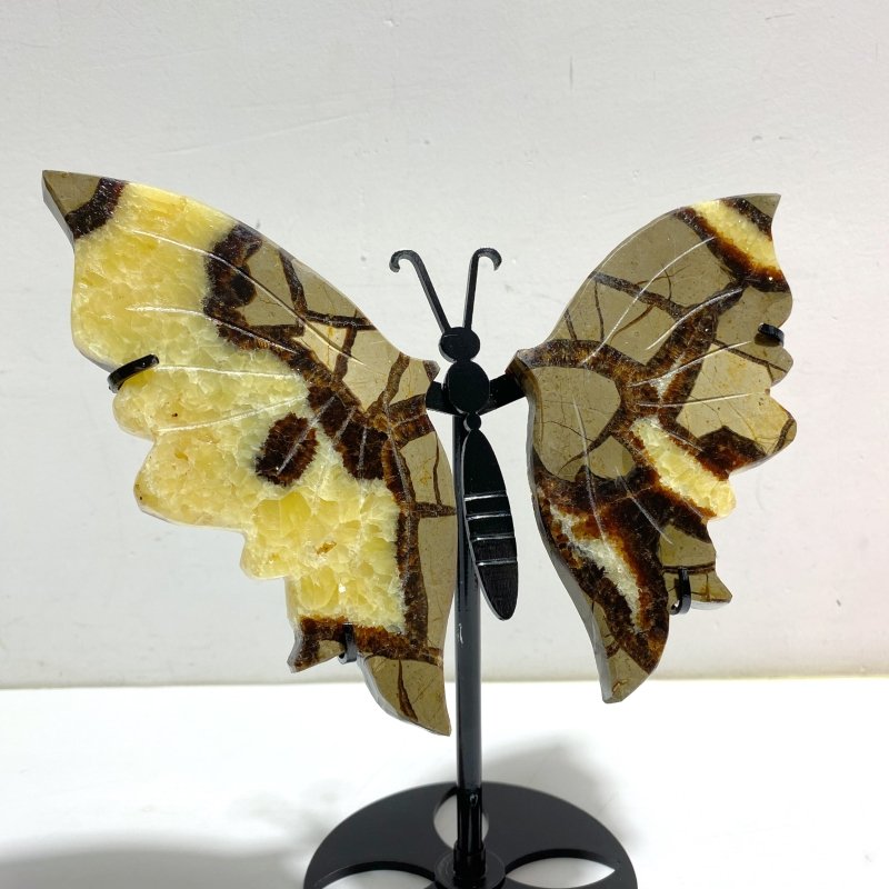 2 Pairs Septarian Butterfly Wing Carving With Stand 3 - Wholesale Crystals