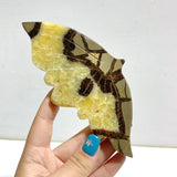 2 Pairs Septarian Butterfly Wing Carving With Stand 3 - Wholesale Crystals