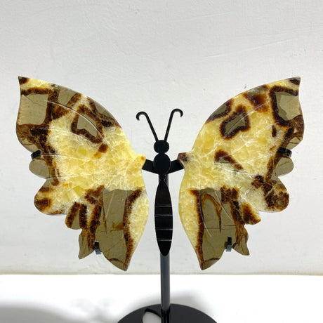 2 Pairs Septarian Butterfly Wing Carving With Stand 3 - Wholesale Crystals