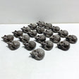 20 Pieces Silver Sheen Obsidian Sleeping Cat Carving - Wholesale Crystals