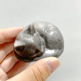 20 Pieces Silver Sheen Obsidian Sleeping Cat Carving - Wholesale Crystals