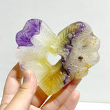 9 Pieces Rainbow Fluorite Heart With Stand