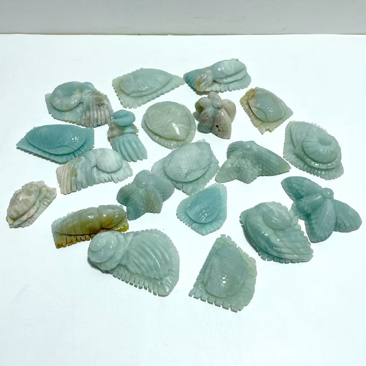 20 Pieces Caribbean Calcite Sea Animals Carving
