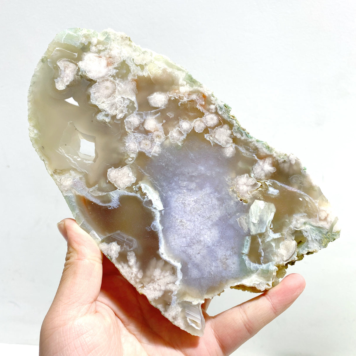 7 Pieces Beautiful Large Green Sakura Flower Agate Slab