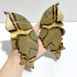3 Pairs Septarian Butterfly Wing Carving With Stand 6 -Wholesale Crystals