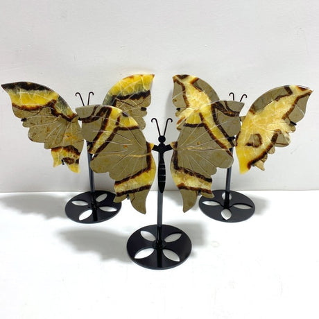 3 Pairs Septarian Butterfly Wing Carving With Stand 6 - Wholesale Crystals