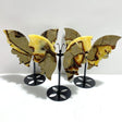 3 Pairs Septarium Butterfly Wing Carving With Stand 1 - Wholesale Crystals