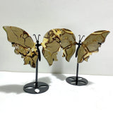 3 Pairs Septarium Butterfly Wing Carving With Stand 4 - Wholesale Crystals