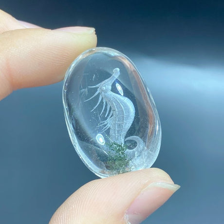 3 Pieces Unique Seahorse Garden Quartz Inner Scene Carving - Wholesale Crystals