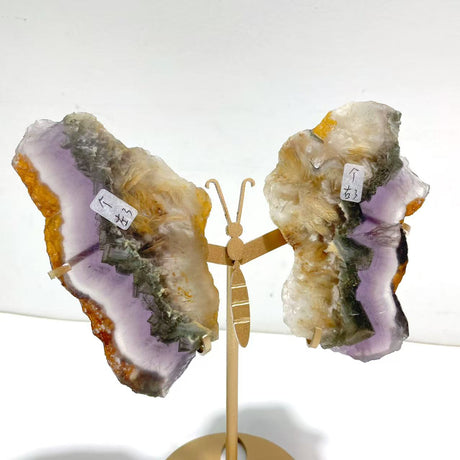 2 Pairs Fluorite Mixed Pyrite Butterfly Wing With Stand #8
